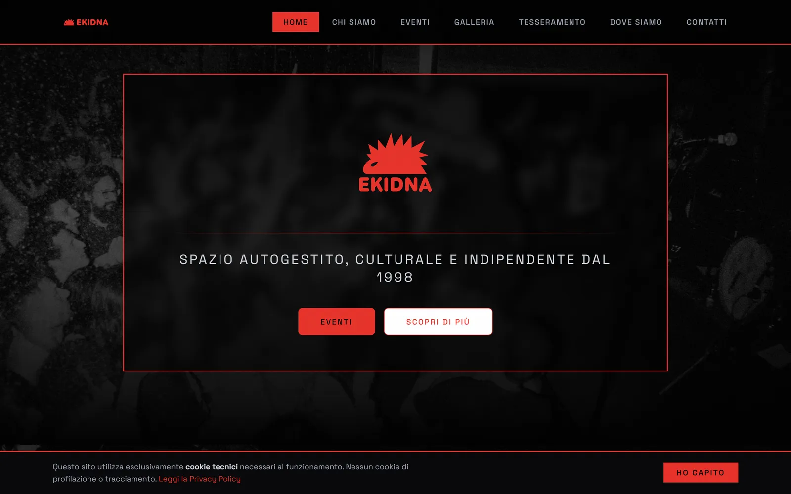 Schermata della home del nuovo sito di Ekidna APS